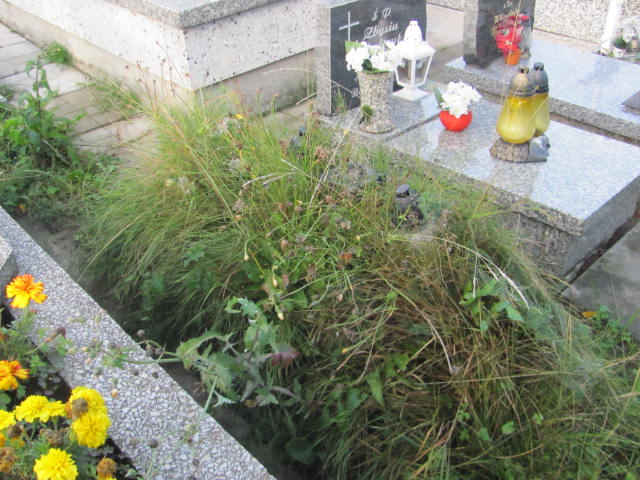  NN Chocznia - Grobonet - Wyszukiwarka osób pochowanych